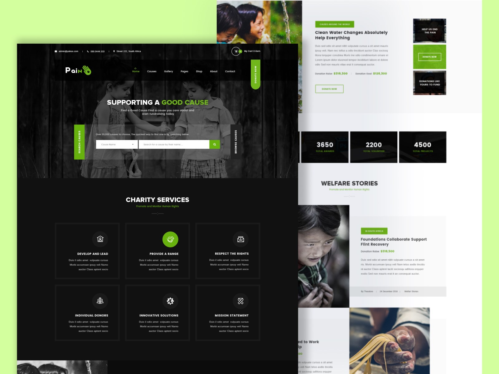 https://themeforest.net/item/pain-charity-fundraise-nonprofit-psd-template/16775947?s_rank=17